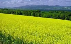 怎么用空氣負氧離子監(jiān)測系統(tǒng)？